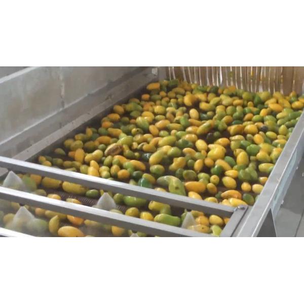 Quality High Effective Small Scale Mango Processing Plant  High Extracting Rate for sale