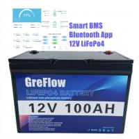 China OEM Lithium Lifepo4 12v 100ah Battery With Smart Bms IP65 for sale