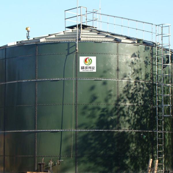 Quality Food Waste Bio Methane Digester AD Plant CSTR Bio Digester System for sale