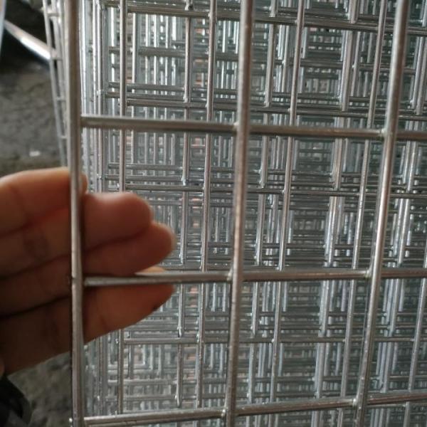 Quality 2x2 Galvanized Welded Wire Mesh Sheets 6mm Galvanised Mesh Panel for sale