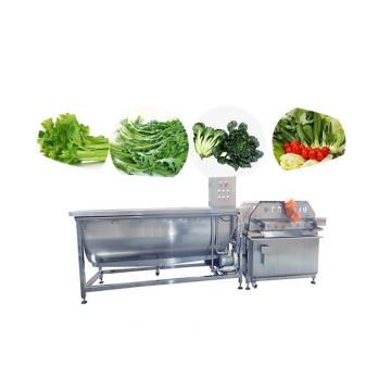 Quality Bubbling Vegetable Fruit Washing Machine Salad Cleaning Frozen Vegetable Lettuce for sale