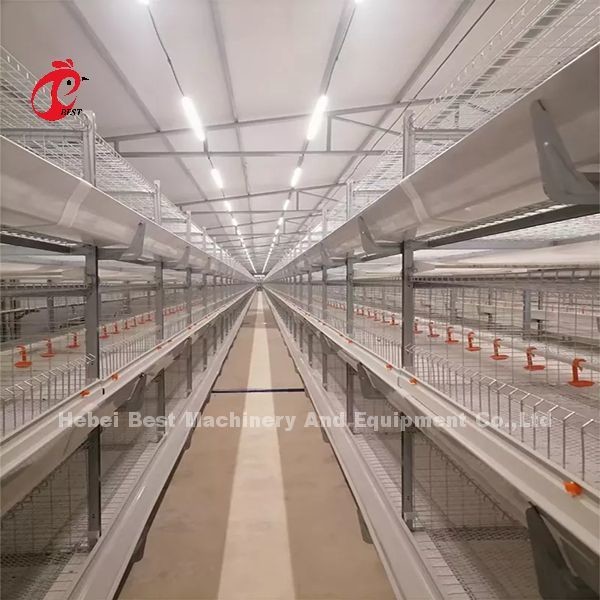 Quality Commercial A Type Broiler Chicken Cage And Farm Poultry House Building Design for sale