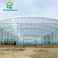 Quality Waterproof Multispan Agricultural Glass Greenhouse Large Venlo Shading for sale