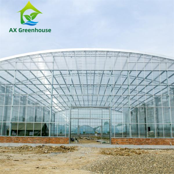 Quality Waterproof Multispan Agricultural Glass Greenhouse Large Venlo Shading Greenhouse for sale