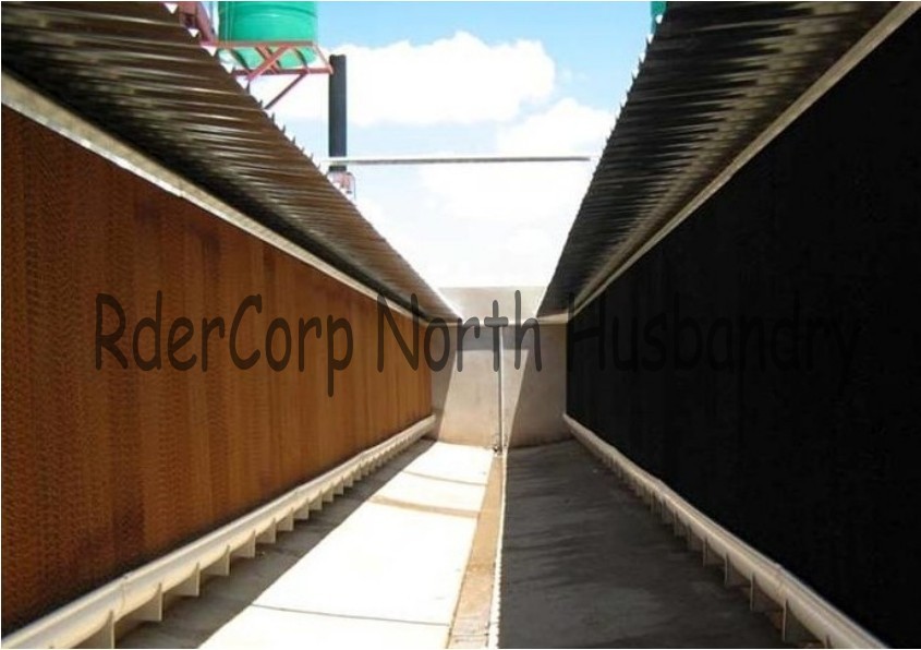 China High Quality 5090 evaporative cooling pad system for Greenhouse factory