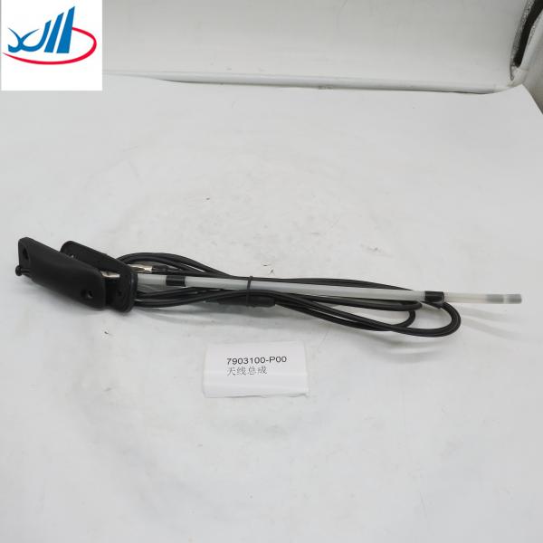 Quality Iron Material Heavy Truck Parts Antenna Assembly 7903100-P00 for sale