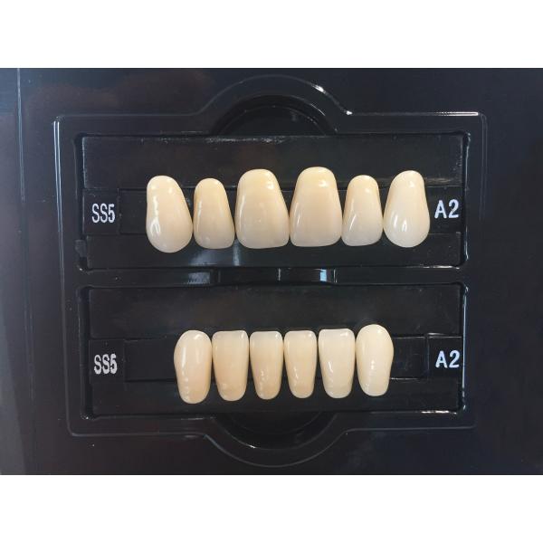 Quality Plastic Polymer Dental Acrylic Resin Teeth A1 A3 2 Layers Dental Composite Resin for sale