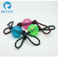 China Lightweight Plastic Dog Ball With Rope Interactive Dog Toy For Heavy Chewers factory