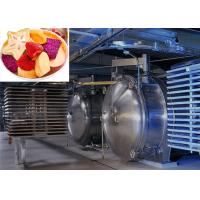 China 220V/380V/3PH Professional Food Vacuum Freeze Dryer For High Drying Performance factory