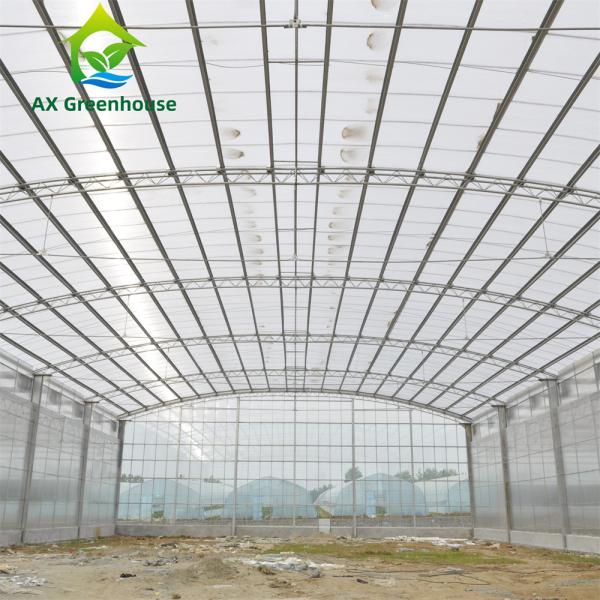 Quality Waterproof Multispan Agricultural Glass Greenhouse Large Venlo Shading for sale