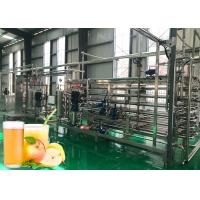China Complete apple & pear juice production line processing plant full automatic machinery factory