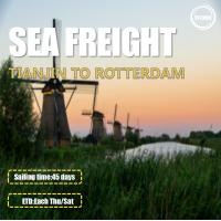 China 2 Shifts Per Week Worldwide Sea Freight From Tianjin To Rotterdam Netherlands factory