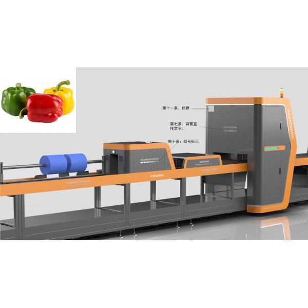 Quality 1 Channel Vegetable Sorting Machine Stainless Steel Robot Type For Bell Pepper for sale