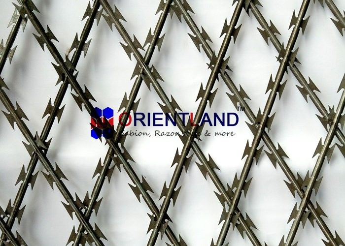 China High Tensile Core Security Razor Wire Fence 0.45mm Blade Thickness Difficult To Cut factory