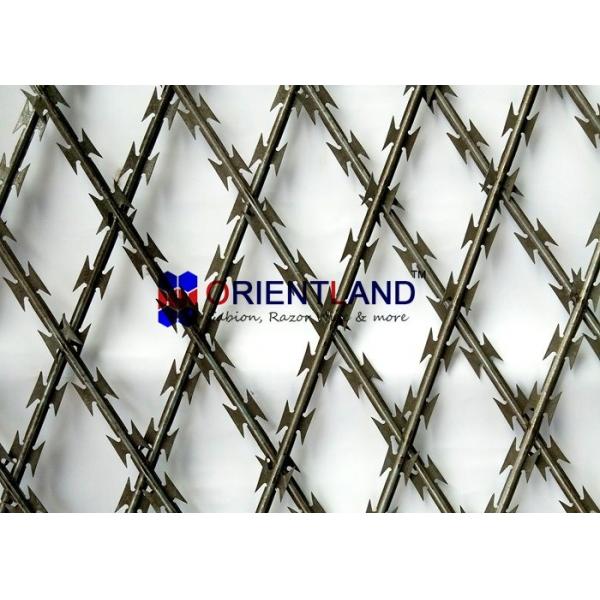 Quality High Tensile Core Security Razor Wire Fence 0.45mm Blade Thickness Difficult To Cut for sale