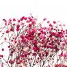 China Preserved Gypsophila Baby'S Breath , Dried Gypsophila Wedding Table Flowers factory