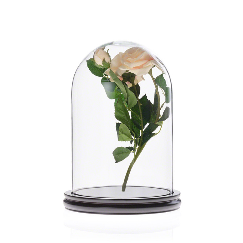 China Preserved Rose Display Glass Homeware Cloche Cover with Black Wooden Base for sale