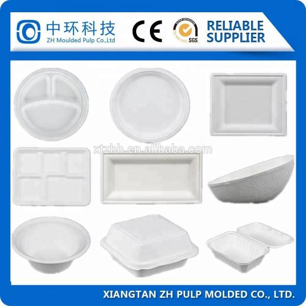 Quality Clamshell Food Packing Container Making Machine 20t Paper Tray Forming for sale