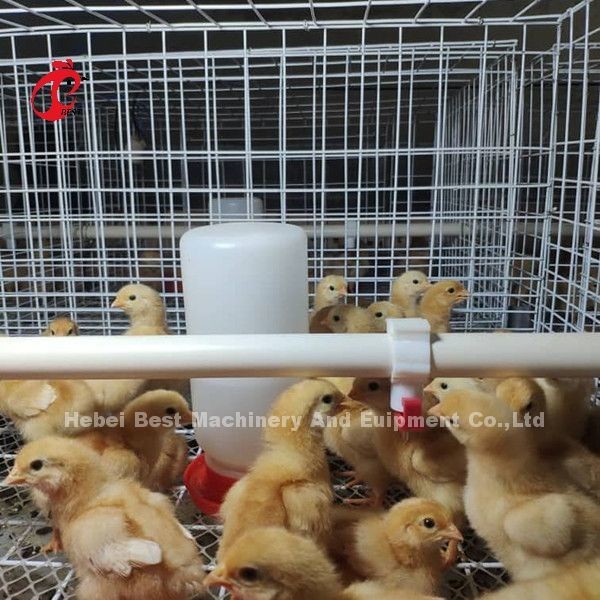 Quality Poultry Farming Equipment H-Type Battery Chicken Cage System For Broiler Mia for sale