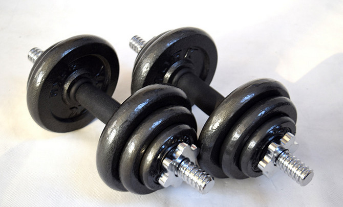 China 0.5kg 1.25kg 2.5kg 5kg gym equipment painting weight dumbbells plates for sale