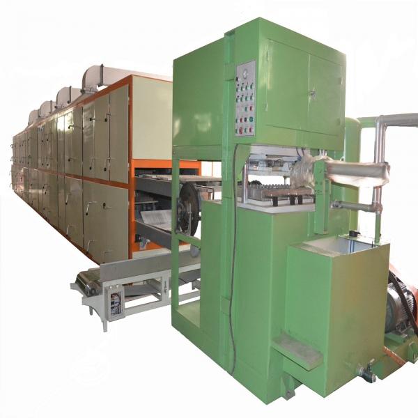 Quality 2 Molds Paper Egg Tray Manufacturing Machine Environment Protect Reciprocating for sale