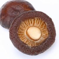 China Organic Dried Shiitake Mushrooms Great For Soups And Stir Fries factory