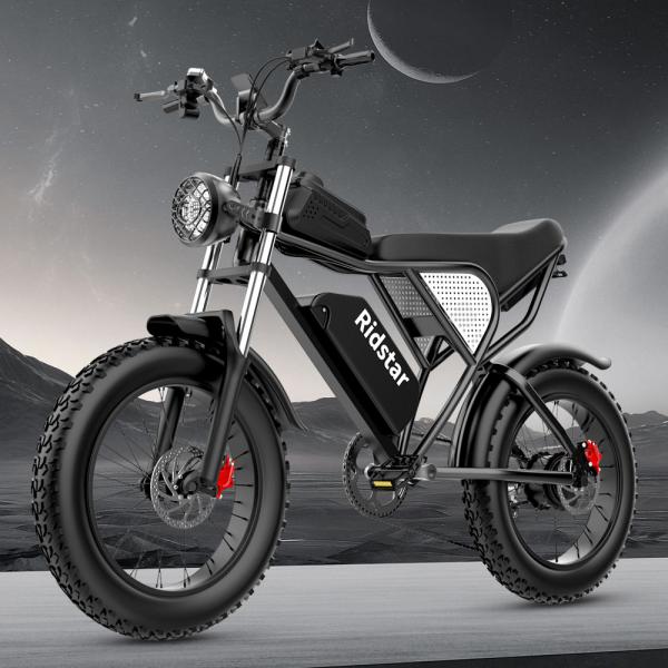 Quality Adults 20 Inch Ridstar Electric Bike 1000W 25MPH 7 Speed Electric Bicycle for sale
