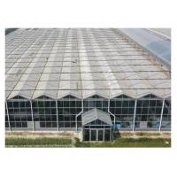 Quality Temperature Resistance Glass Greenhouse For Agricultural Applications for sale