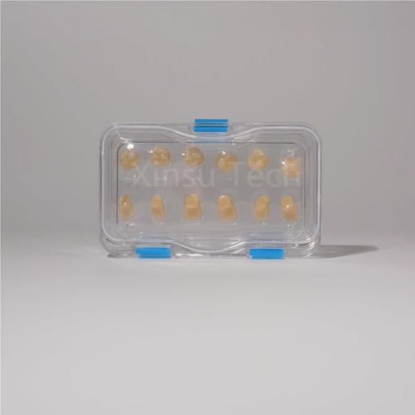 Quality PS TPU Material Dental Pillow Boxes Transparent For Veneer Packing for sale