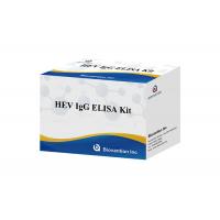 Quality HEV Human Igg Elisa Kit Diagnostic For IgG Antibody To Hepatitis E Virus for sale