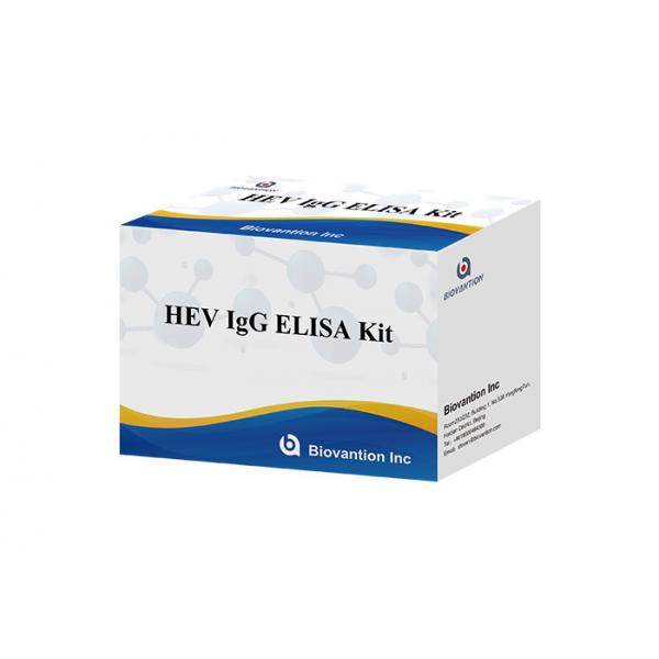 Quality HEV Human Igg Elisa Kit Diagnostic For IgG Antibody To Hepatitis E Virus for sale