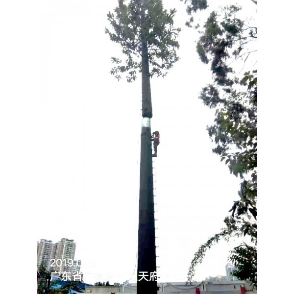 Quality 30m Camouflaged Telecom Antenna Tower Artificial Pine Tree Galvanized for sale