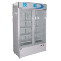 China Beverage Display Cooler Commercial Refrigerator Freezer Two Doors factory