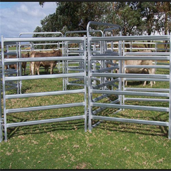Quality Carbon Steel Farm Portable Livestock Panels , Portable Round Pen For Horses for sale