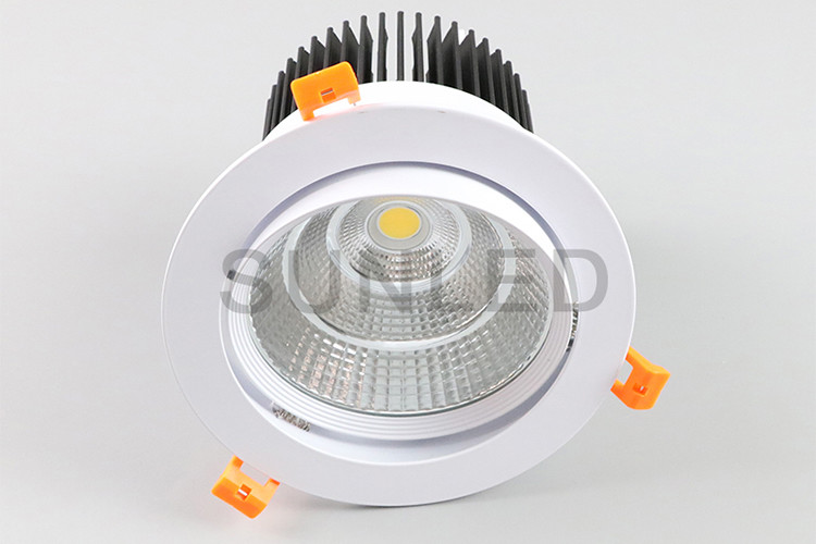 China Indoor LED Recessed Downlight Warm White Ip65 Cool White Downlights factory