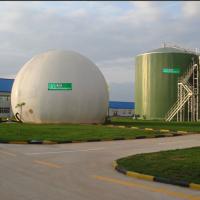 Quality Automatic Tecon Gas Holder Anaerobic Biogas Gas Holder Dual Membrane for sale