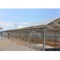 China Ground Solar System For Agriculture , Plant Farm Solar PV Mounting Systems factory