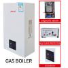 Quality Made In China Factory Europe Popular Wall Hung Hot Water Heater Ng /Lpg Gas Dual for sale