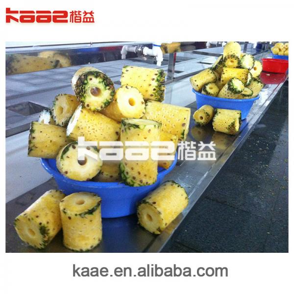 Quality SS304 Mango Juice Production Line Pineapple Juice Processing Line Customized for sale