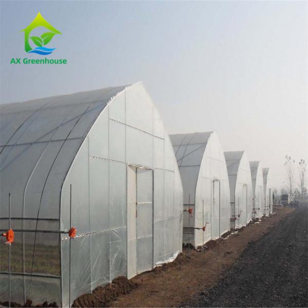 Quality OEM Aluminium Double Layer Poly Tunnel Greenhouse Onion Farming for sale