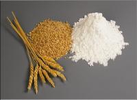 China Wheat Gluten Meal Protein Content 75% Min , on Dry Basis , N X 5.7 HS code 1109.0000 factory