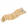 China Brazilian Straight Clip In Pre Bonded Hair Extensions No Any Bad Smell factory