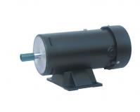 China high performance light weight low torque 600w brush 96v electric dc motor factory