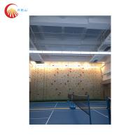 Quality Indoor Speed Climbing Wall Auto Belay Waterproof For Gymnasium for sale