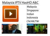 China Wholesale Malaysia IPTV HAOHD IPTV Malaysia Singapore Live Channel Subscription For android TV BOX factory
