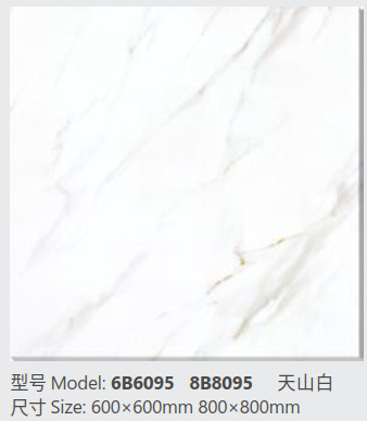 Quality Frost Resistant Glazed Porcelain Tile Rectangular 600 * 600mm for sale