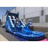 China Blue Dolphin Large Inflatable Water Slides , Faster Inflation Bouncy Castle Water Slide factory