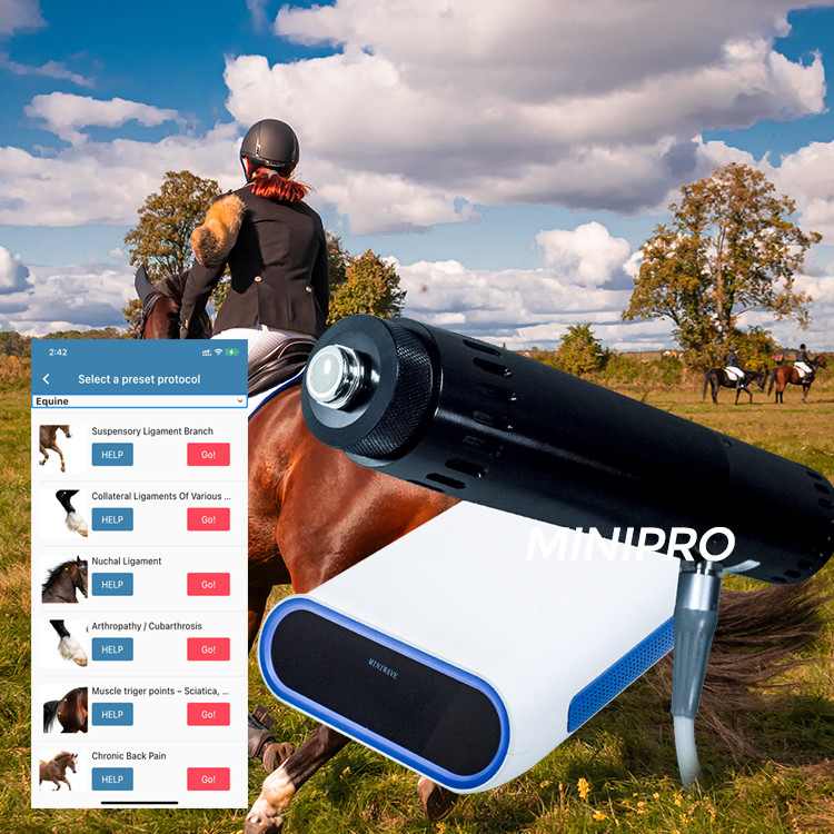 Quality Horse Treatment Physiotherapy Horse Shockwave Therapy Machine for sale