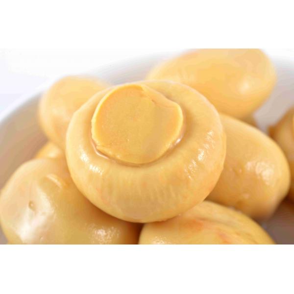 Quality New Crop Canned Whole Mushrooms Grade A With Brine Preservation Process for sale