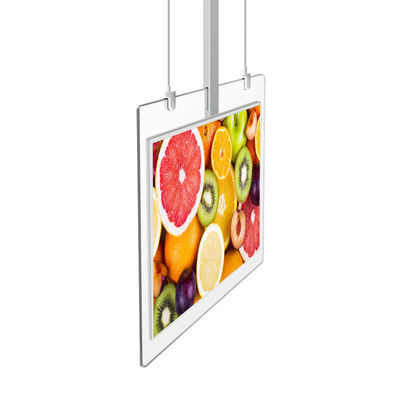 Quality Transparent Hanging Floor Standing Digital Signage Display 55 Inch 110v Oled for sale